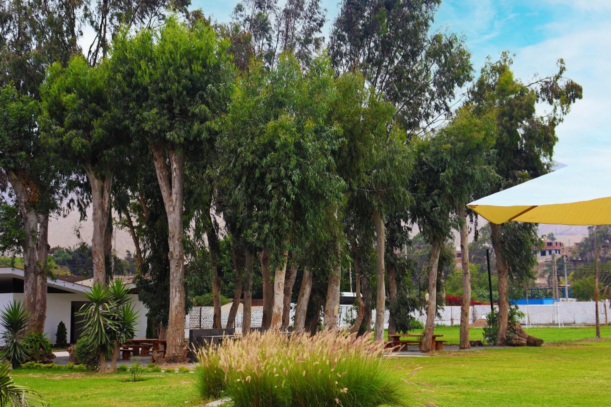 Los Andes - Restaurant & Bungalows Cieneguilla Buitenkant foto